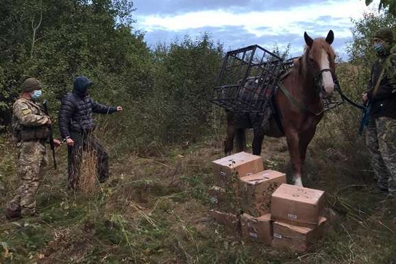 Українець на коні намагався переправити тютюн з Росії ( ВІДЕО )
