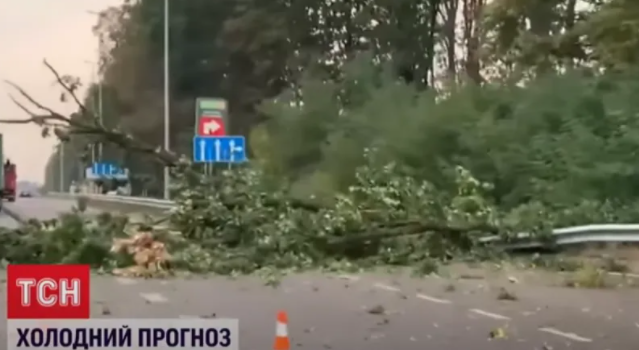 Дерева попадали на дорогу, будинки ледь не залишилися без дахів: у Києві пройшовся потужний буревій (фото і відео)