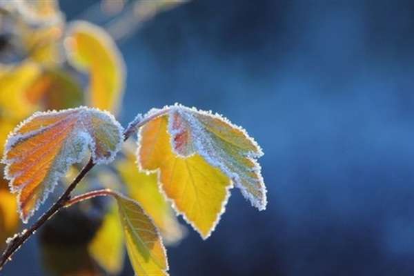 На Україну насуваються заморозки і мокрий сніг: синоптик назвав дати