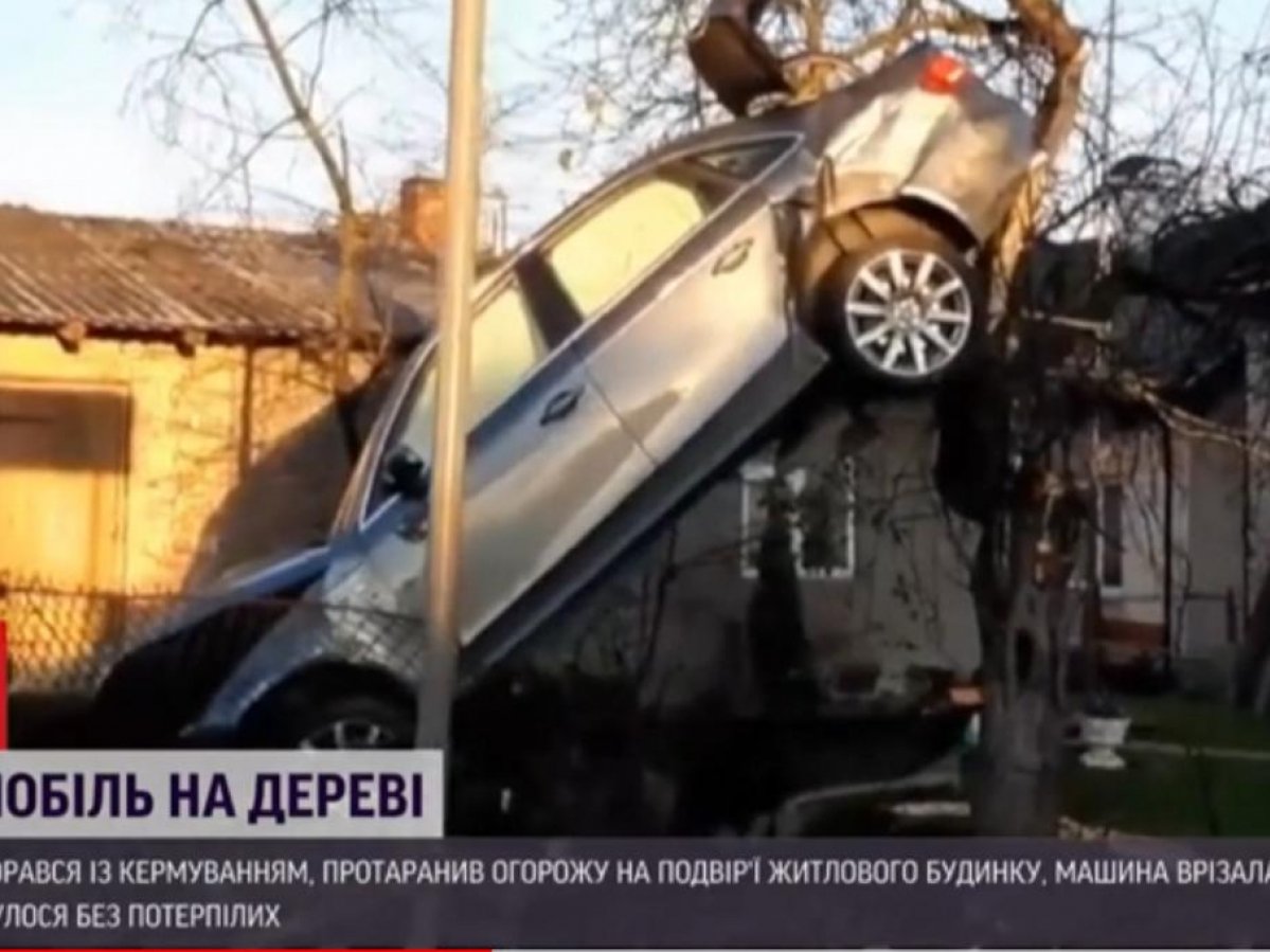У Києві авто “залетіло” на дерево: відео незвичайної ДТП